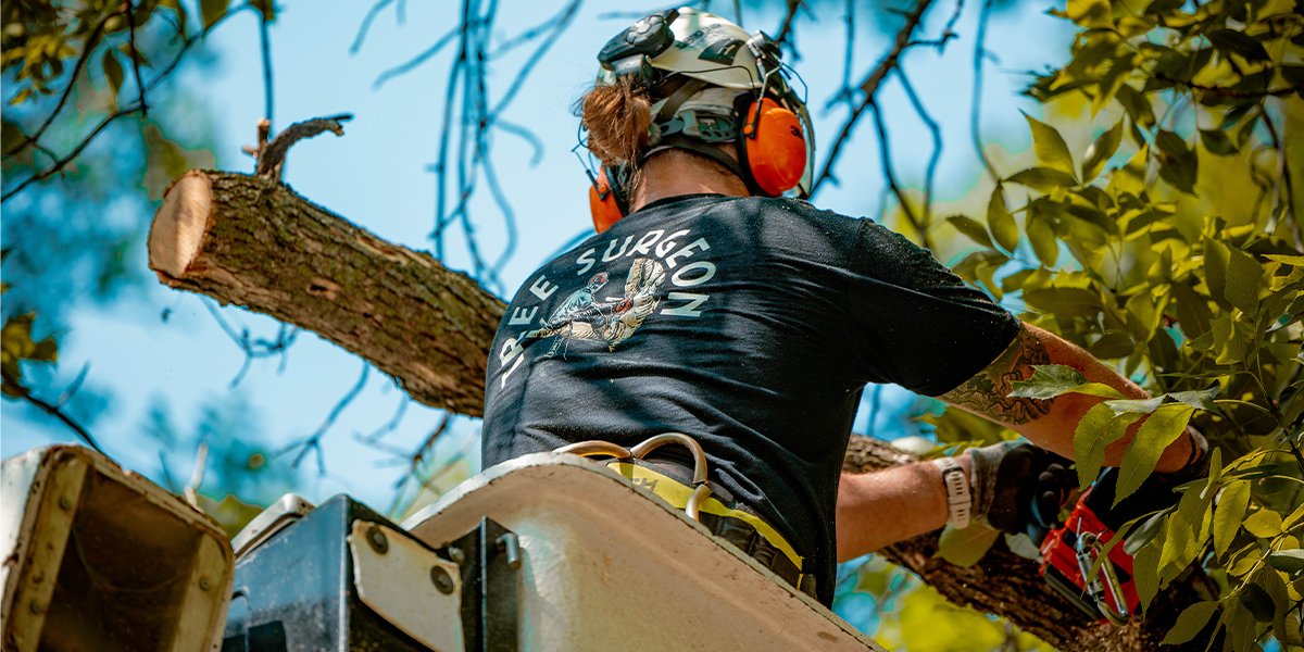 Arborist - Workman Trading Co.